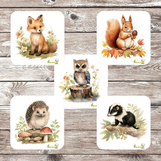 Animaux de la forêt - Ensemble de 5 débarbouillettes velours