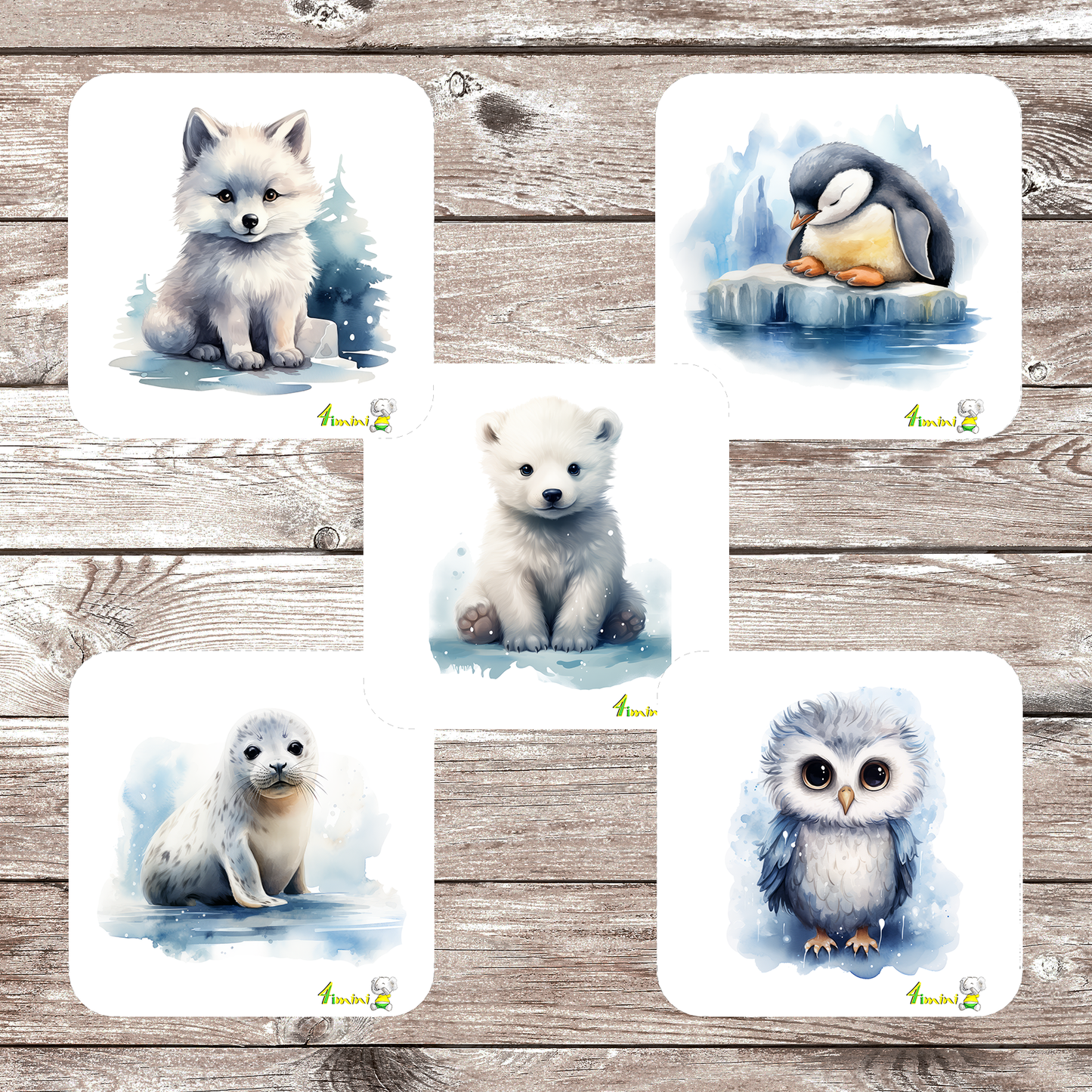 Ensemble de 5 débarbouillettes velours - Bébé animaux de l'arctique