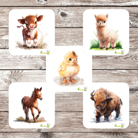 Ensemble de 5 débarbouillettes velours - Bébé de la ferme, la suite