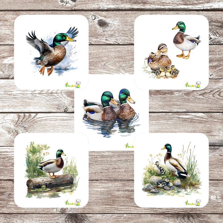 Ensemble de 5 débarbouillettes velours - Les mallards