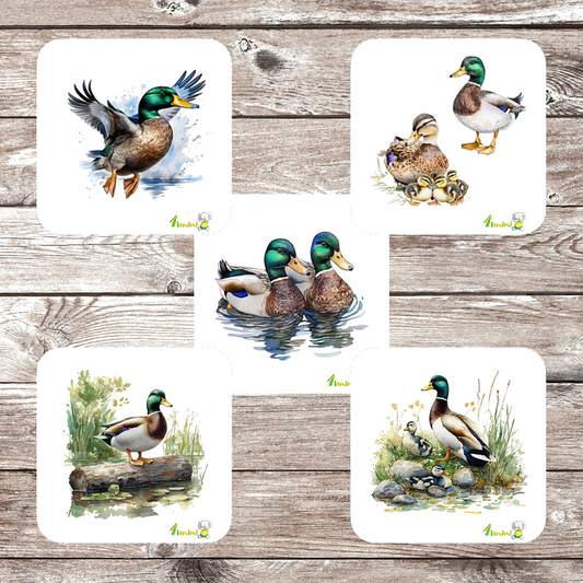 Ensemble de 5 débarbouillettes velours - Les mallards