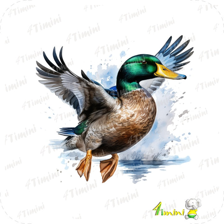 Ensemble de 5 débarbouillettes velours - Les mallards