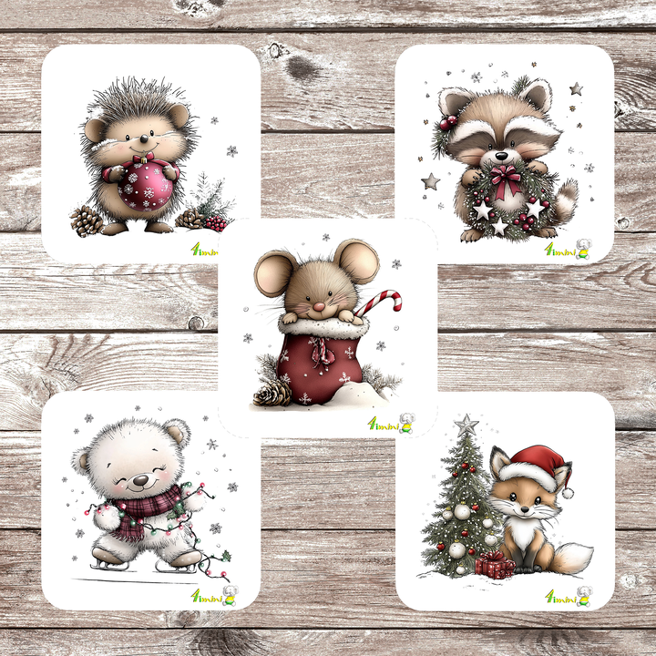 Ensemble de 5 débarbouillettes velours -  Amis de la Forêt en Fête