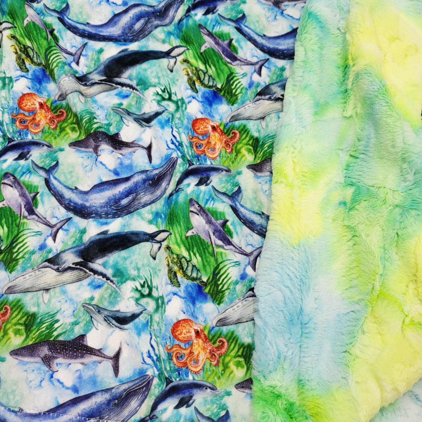 Petite doudou - Les baleines