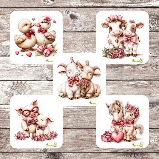 Ensemble de 5 débarbouillettes velours - Amoureux de la ferme