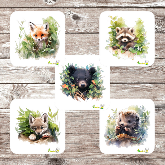 Ensemble de 5 débarbouillettes velours - Cache-cache en forêt